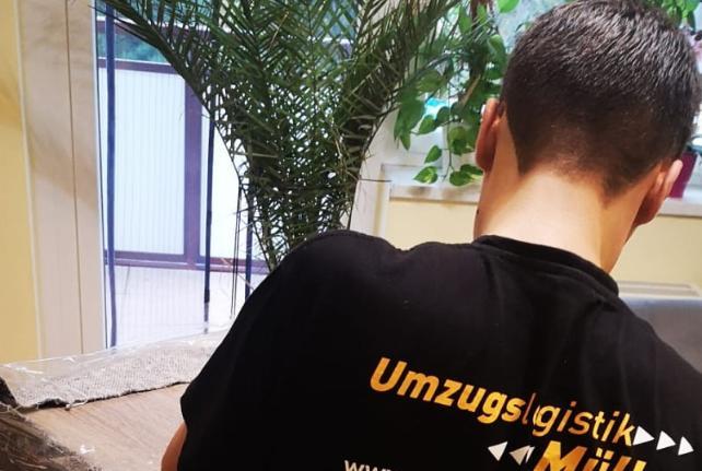 Preise für Ihren Studentenumzug in Dohma